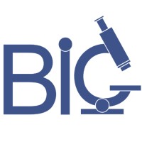 BioMedical Imaging Group at UIC logo - Similar company to Northwestern Biomedical Engineering Department