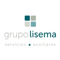 GRUPO LISEMA logo - Similar company to Brücke By Plexus