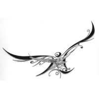 SAOIRSE INC logo - Similar company to Soarise (Bd)