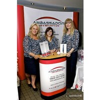 Ambassador Fire & Security LTD logo - Similar company to Ceaton Security Services Ltd