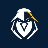 eEagle VPN logo - Similar company to Appworks (Private) Limited