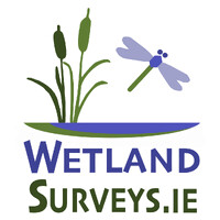 Wetland Surveys Ireland logo - Similar company to The Science Notes