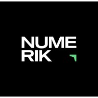 Numerik logo - Similar company to Monking