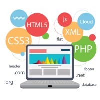 Best Web Designing Course in Delhi logo - Similar company to Web Nesters