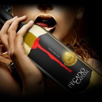 Pecado Capital logo - Similar company to Links2Care