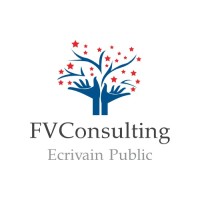 FVConsulting logo - Similar company to Fvc Consulting