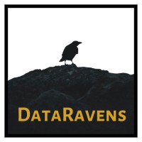 Data Ravens logo - Similar company to Iron Insights Llc