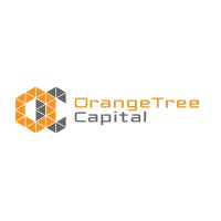 OrangeTree Capital logo - Similar company to Wealth Doctors (Sa)