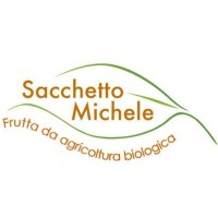 Michele Sacchetto