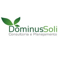 Dominus Soli logo - Similar company to Vipcel
