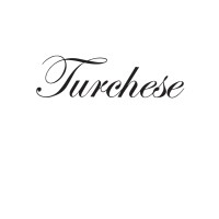 Turchese logo - Similar company to Wea Academy