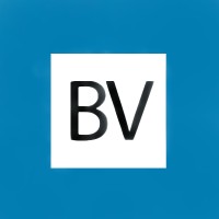 Blue Valley Insurance Agency logo - Similar company to Waypoint Insurance Midwest, Llc