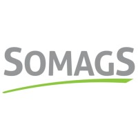 Somags Ltée logo - Similar company to Espace Maison, Mauritius