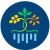 Institute for Future Food Systems logo - Similar company to Sunderland Lab At Ubc Faculty Of Forestry