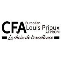 CFA EUROPEEN LOUIS PRIOUX logo - Similar company to Secu Protec 55