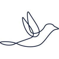 Infinitas Accountants logo - Similar company to Nek Services