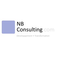 NB Consulting logo - Similar company to Nb Consulting Engineers