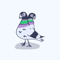 PIGEONPIGEON