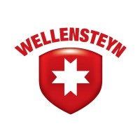 Wellensteyn Magyarország logo - Similar company to Metastra