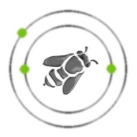 Varolis-apimed logo - Similar company to Useeble