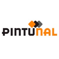 Pintunal logo - Similar company to Pintunal