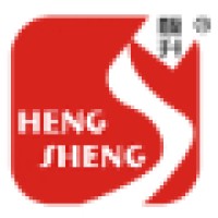 Henan Hengsheng Crane Co., Ltd