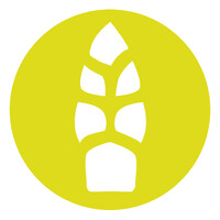 Esparragos Limgroup México logo - Similar company to Polidrip