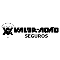 Valor Ação Assessoria e Planejamento logo - Similar company to Maxiqualy Contas Contadores Associados