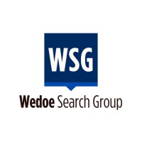 Wedoe Search Group logo - Similar company to Techtogether