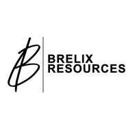 Brelix Resources logo - Similar company to Leonix Digital Group