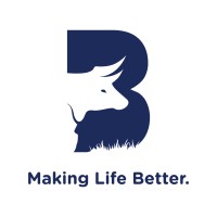 Botswana Insurance Company logo - Similar company to Botswana Life