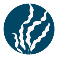 PTEC IPMAPY logo - Similar company to Wavet Spa