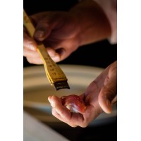 SUSHI JOB OPPORTUNITY logo - Similar company to Open Source Management Danmark
