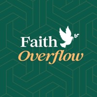 FaithOverflow logo - Similar company to Medha Edutech