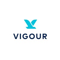VIGOUR logo - Similar company to Vigoursoft Global Solutions