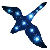Cygnus Business Limited