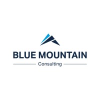 Blue Mountain Consulting logo - Similar company to Lime Flavour Gbr