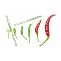 Food Business Development