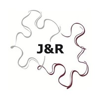 J&R Business Consultancy logo - Similar company to Thrivewize Business Consultancy Llc