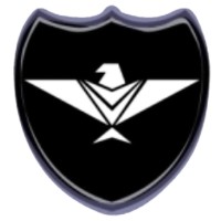 Eagle Security Services Corporation logo - Similar company to Eagle Security