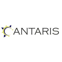 Antaris logo - Similar company to Mpt Advisory Group