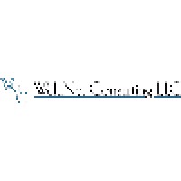 Welunet Consulting Llc
