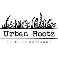 Urban Rootz logo - Similar company to En Transition