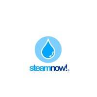 SteamNow SPA logo - Similar company to Dyr Chile Trainning Spa