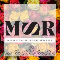 Mountain Side Roses logo - Similar company to Sumas Mountain Farms