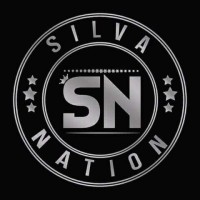 SILVA NATION INC logo - Similar company to Bayside Records