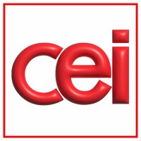 The Center for Educational Innovation logo - Similar company to Lightswitch Learning