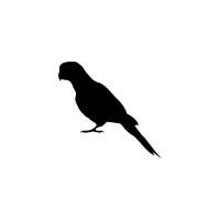 parrot art logo - Similar company to Madeforyou™