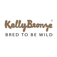 KellyBronze logo - Similar company to Jacinto Medical Group