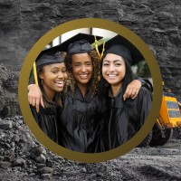 NextGen Women in Mining Initiative of WiM-Africa logo - Similar company to Lowase Capital Partners